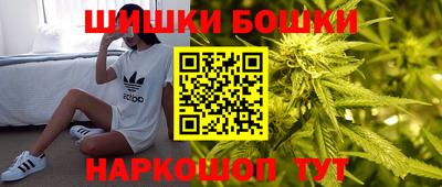 МДПВ Можга