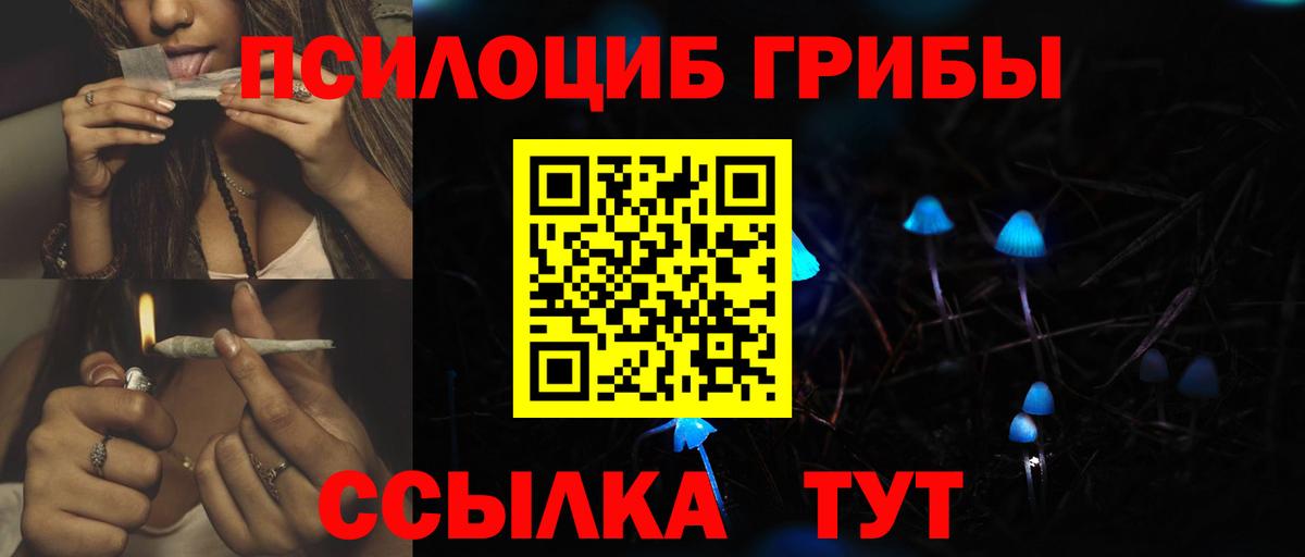 Галлюциногенные грибы GOLDEN TEACHER  Псилоцибиновые грибы GOLDEN TEACHER  Орёл  Вход с VPN 